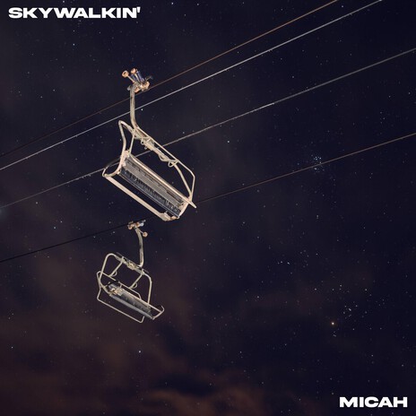 skywalkin' cover art