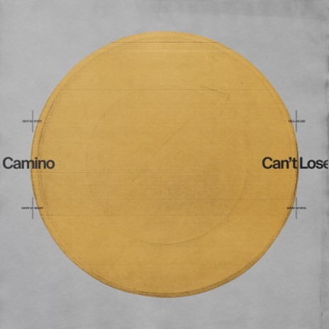Can't Lose cover art