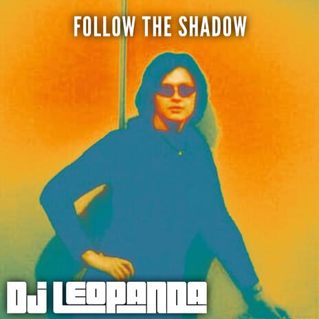 Follow the shadow cover art