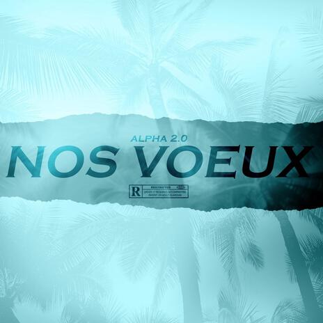 Nos voeux cover art
