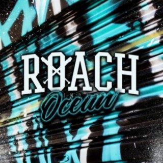 Roach