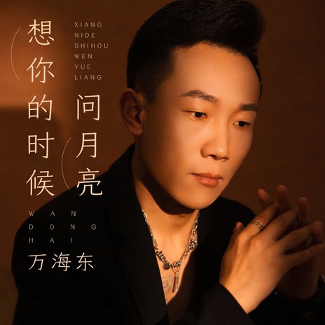 想你的时候问月亮 cover art