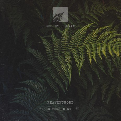 Field Recordings 05 cover art
