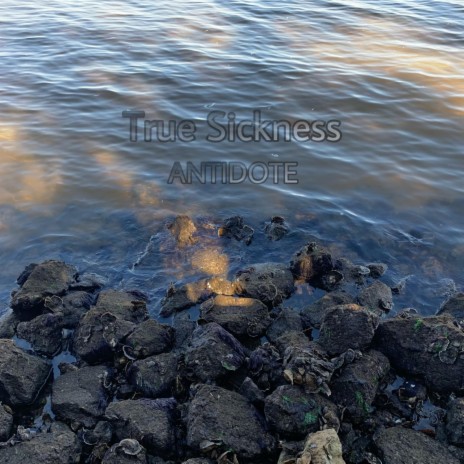 Forever (Remastered) cover art