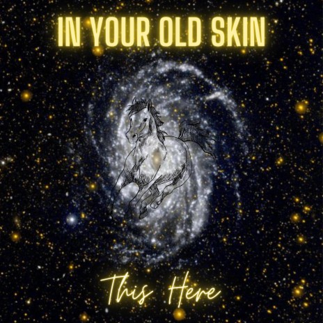In Your Old Skin cover art