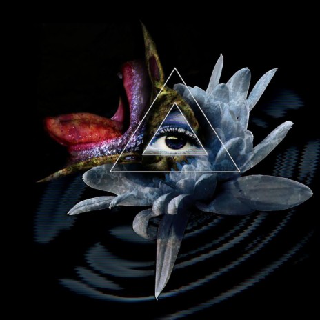 Eindhoven cover art
