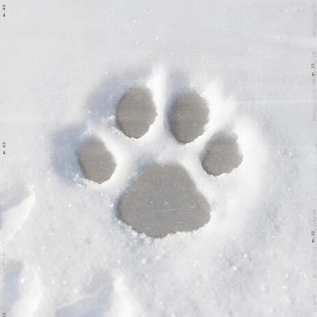 First Snow cover art