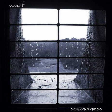 Soundness cover art