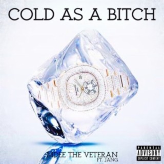 MDEE The Veteran
