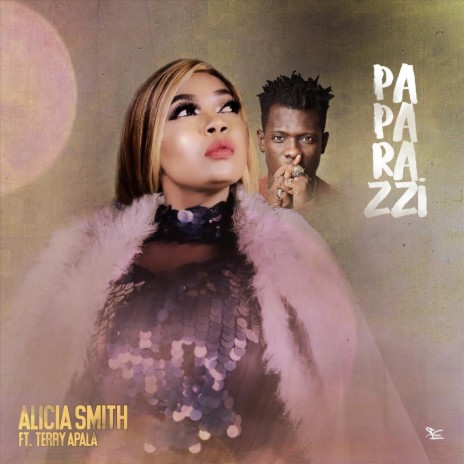 Paparazzi (feat. Terry Apala) cover art