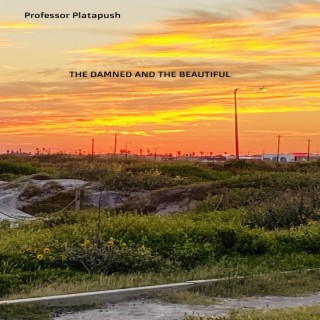 The Damned and the Beautiful