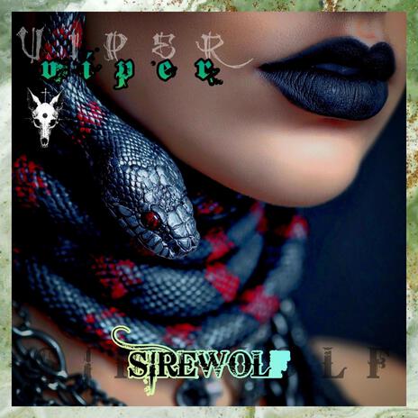 Viper cover art
