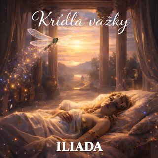 Krídla vážky