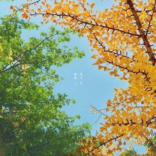 seasonal days