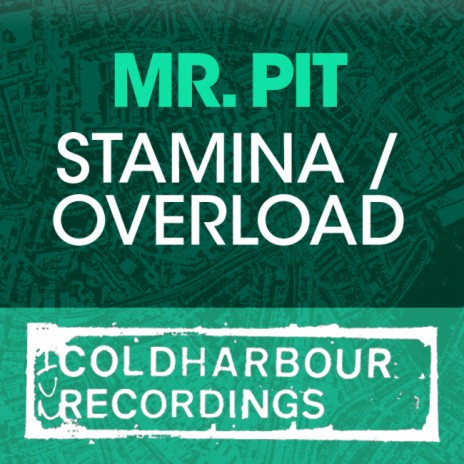 Stamina (Original Mix) cover art