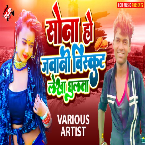 Gawana Karake Saiya Gail Ludhiyana cover art