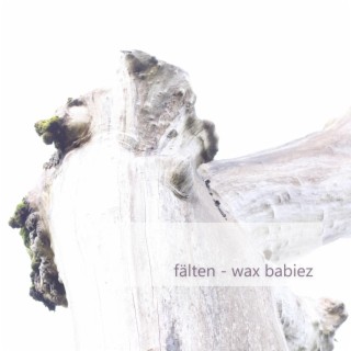 Wax Babiez cover art