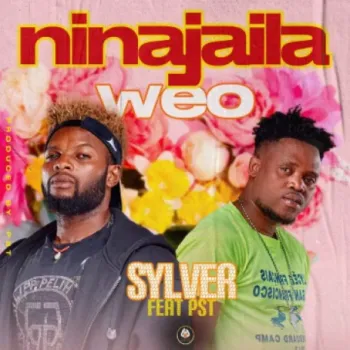 Ninajaila weo cover art