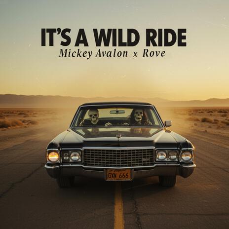 It's A Wild Ride ft. Rove cover art