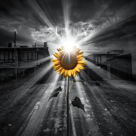 Sunny cover art