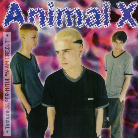 N-am crezut cover art