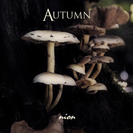 Autumn (Single Mix) cover art