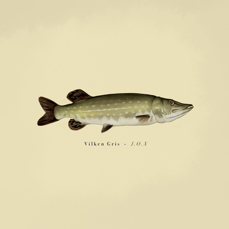 Vilken Gris cover art