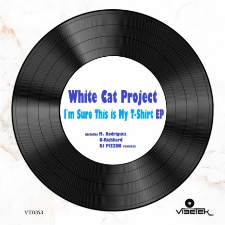 I`m Sure This Is My T-Shirt (DJ PIZZINI remix) cover art