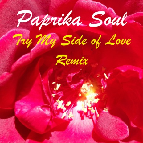 Try My Side of Love (Remix) ft. Sarah Newell cover art