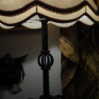 VenusianCatStore