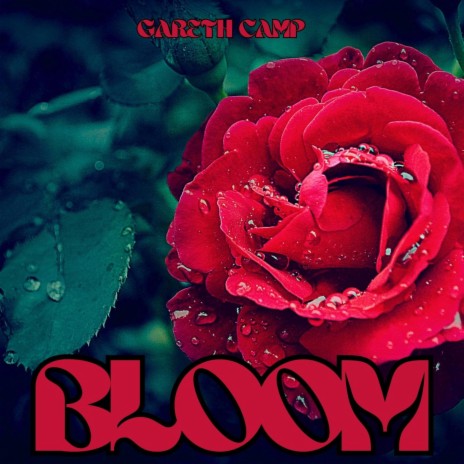 Summer Breeze cover art
