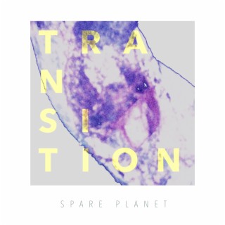 Transition cover art