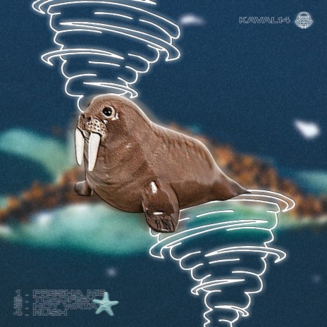 Toadfish cover art