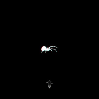 SPIDER.