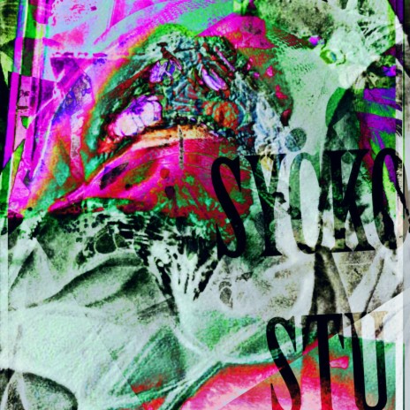 SYCKO STU cover art