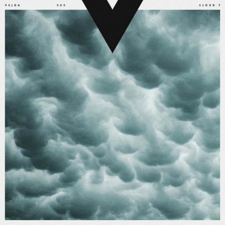 Terra cover art