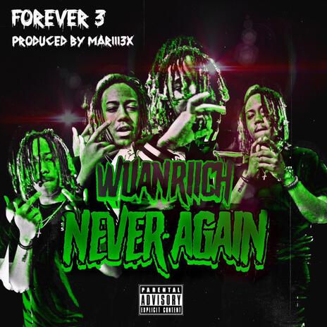 Never Again cover art
