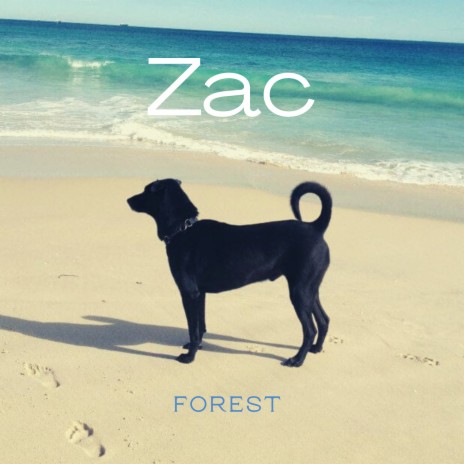 Zac cover art