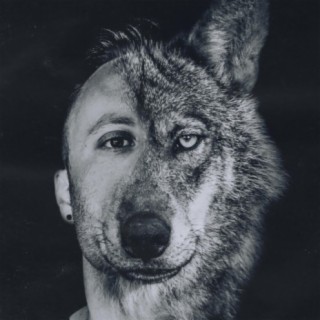 City Wolf
