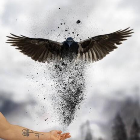 Die Erinnerung, sie ist so klar ft. Tizian Stephan Pohl cover art
