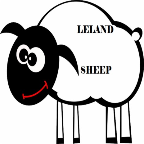 Sheep cover art