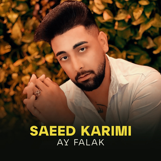 Ay Falak