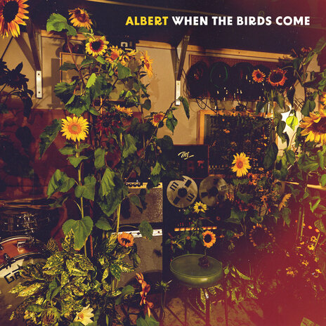 When the Birds Come cover art