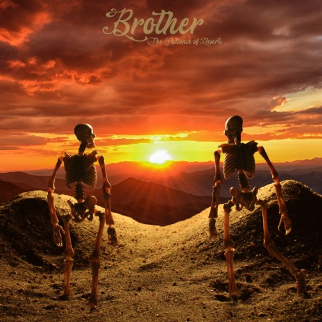 Shell cover art