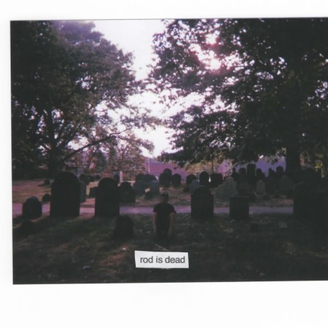 Plans cover art