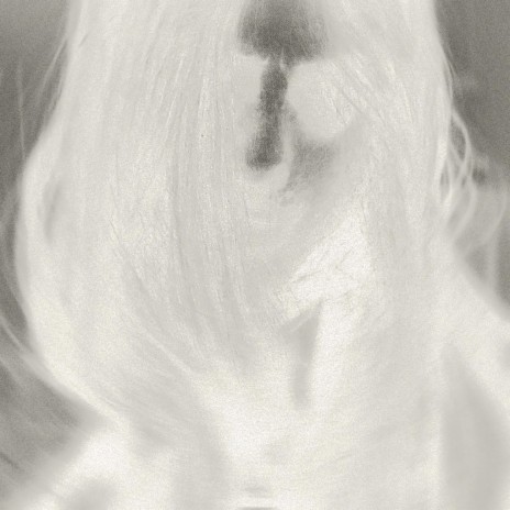 i'm so bored (low anxiety mix) cover art