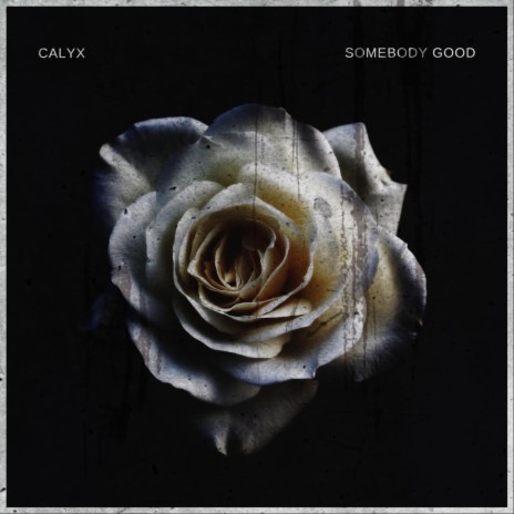 Somebody Good cover art