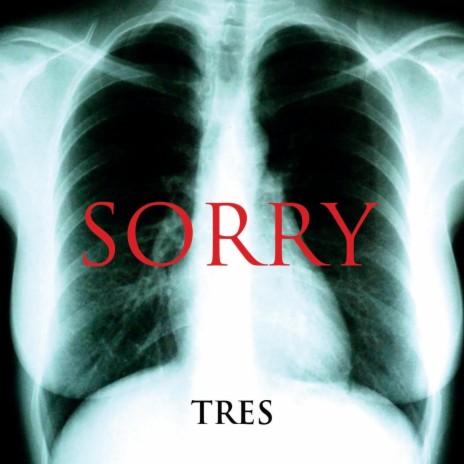 Al Revés cover art