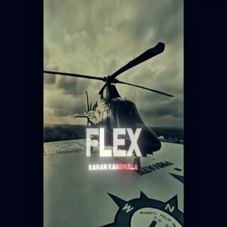 Flex Karan Waale — Desi Shot-Callers cover art