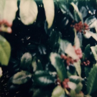 in the river cover art